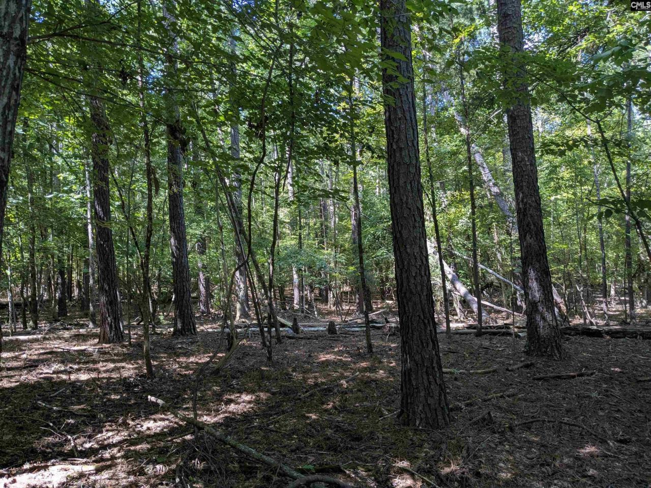 0 Taylor Road Photo 13