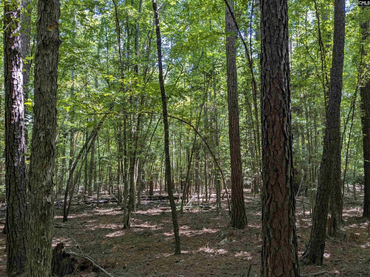 0 Taylor Road Photo 14