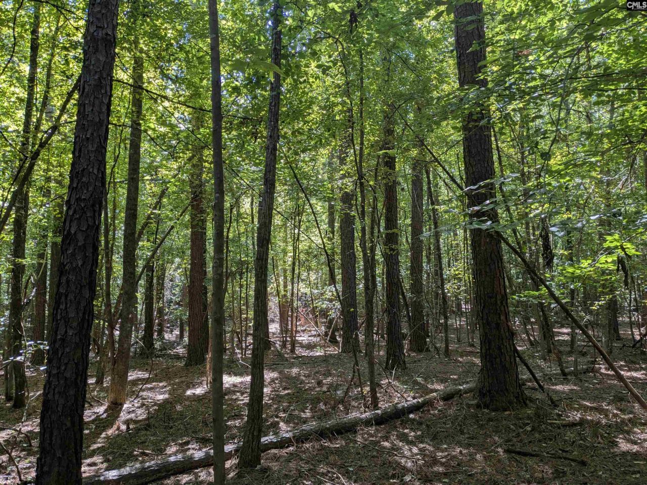 0 Taylor Road Photo 15