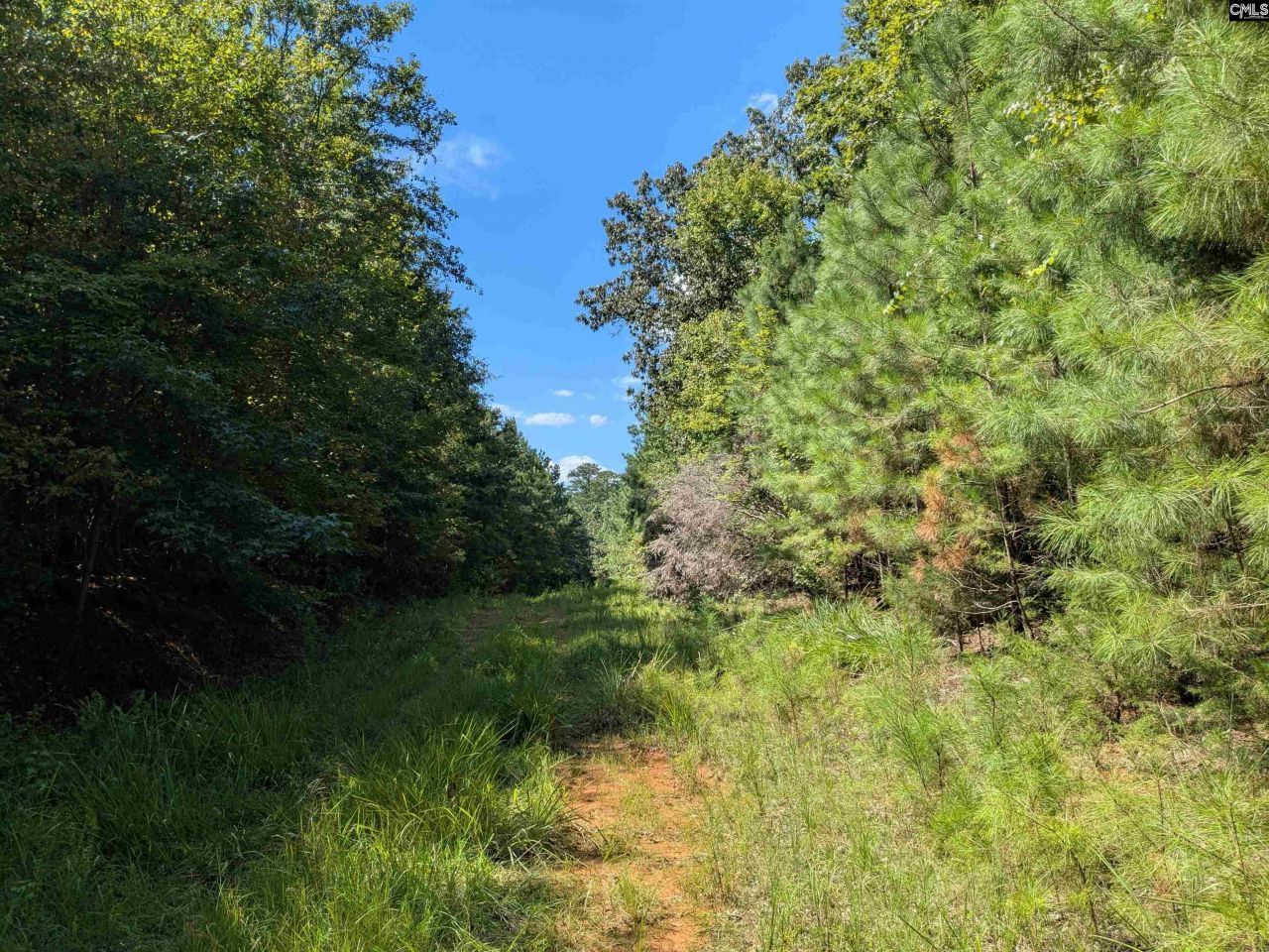 0 Taylor Road Photo 16