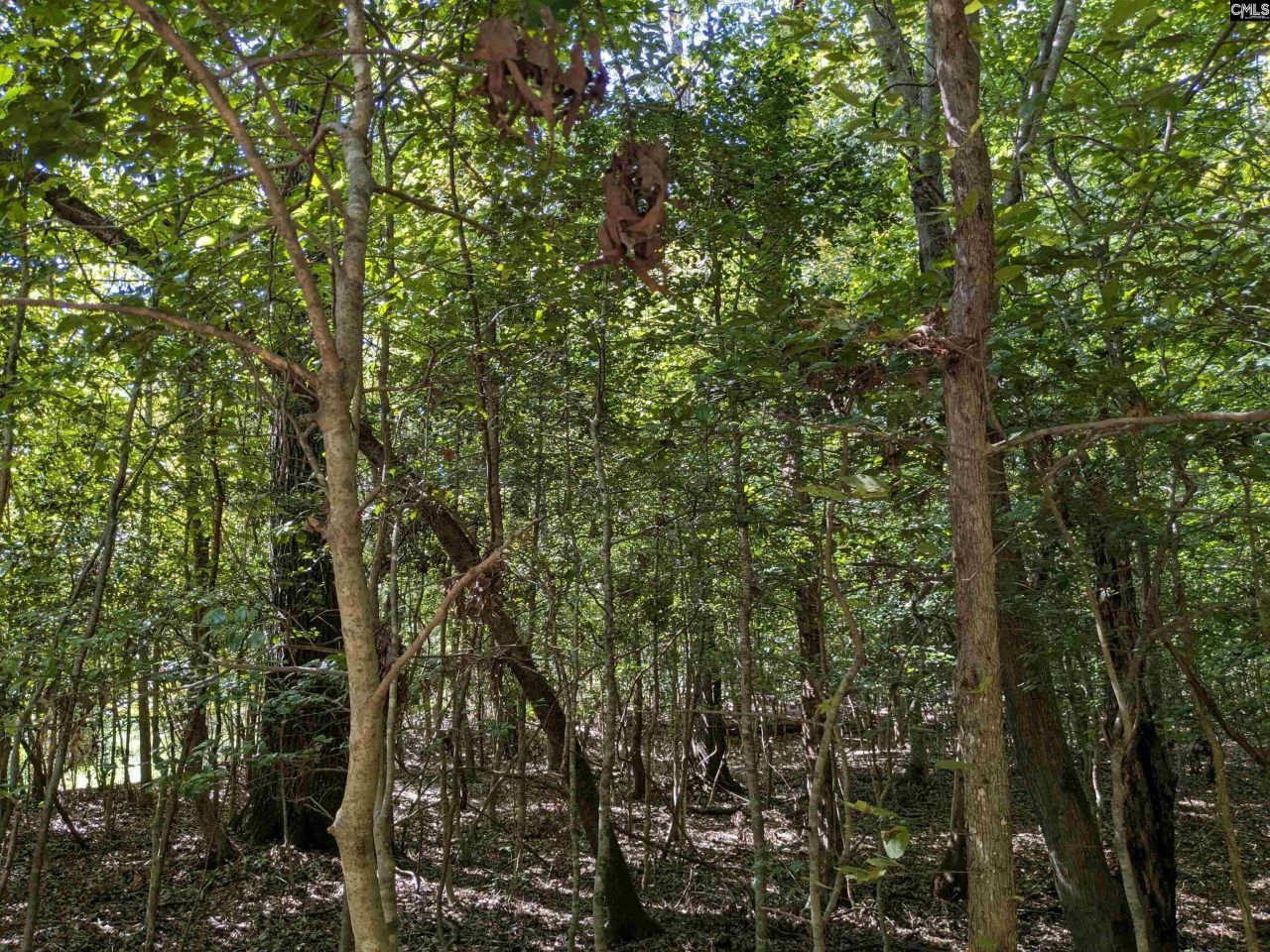 0 Taylor Road Photo 17