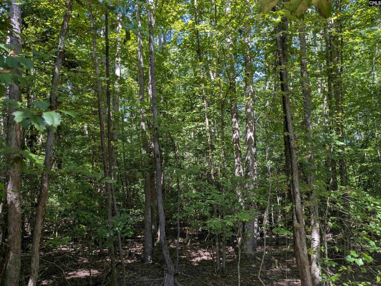 0 Taylor Road Photo 18