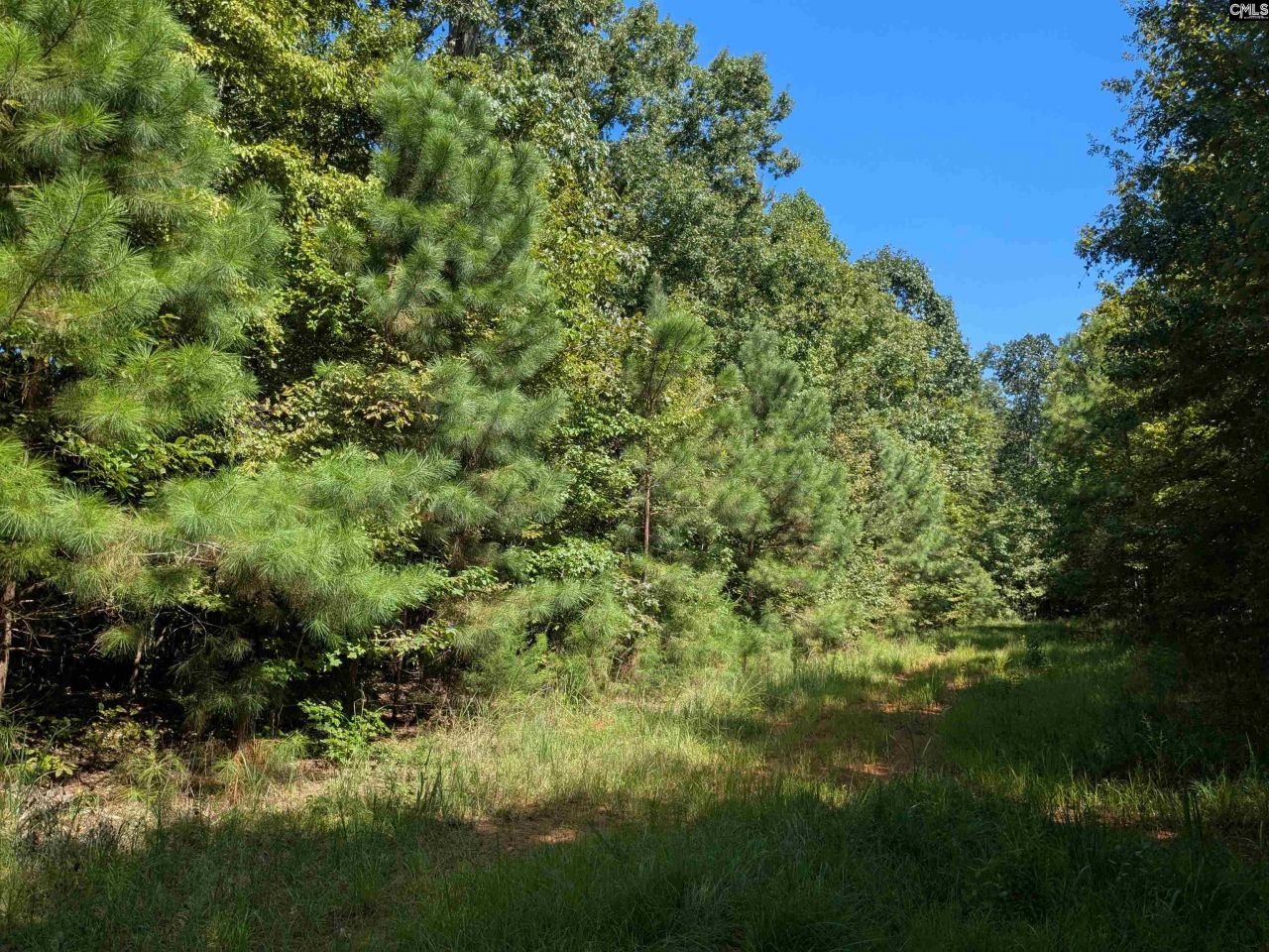 0 Taylor Road Photo 19