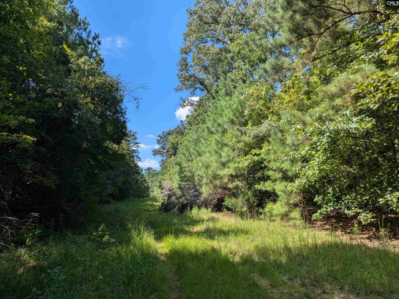 0 Taylor Road Photo 20