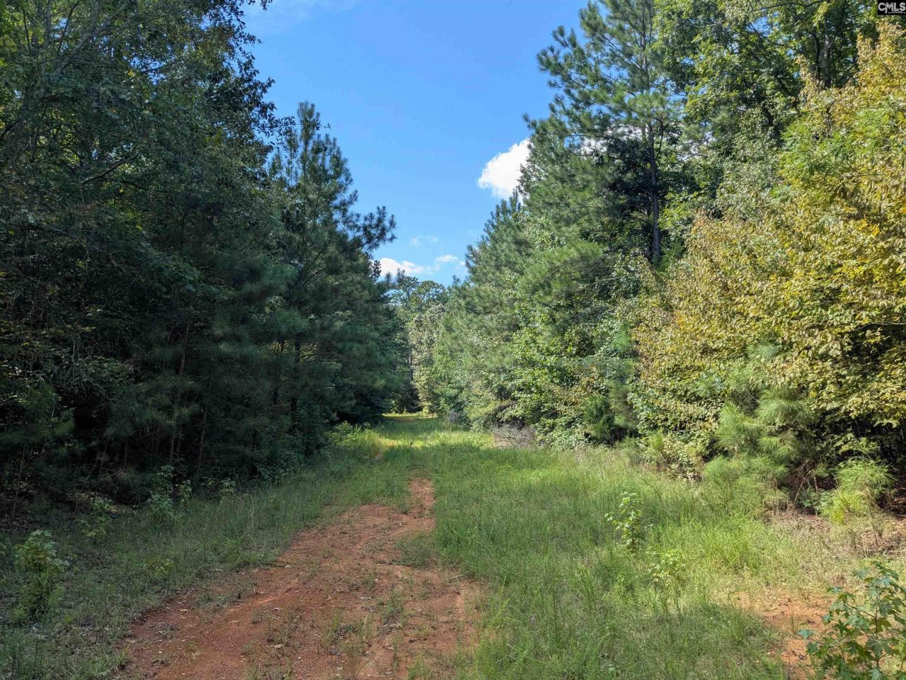 0 Taylor Road Photo 21