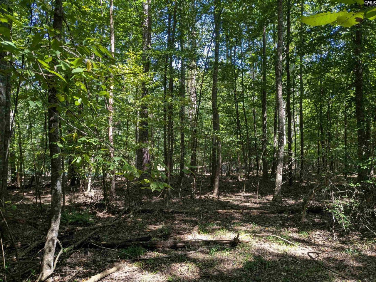 0 Taylor Road Photo 4