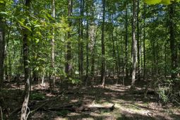 0 Taylor Road photo 4