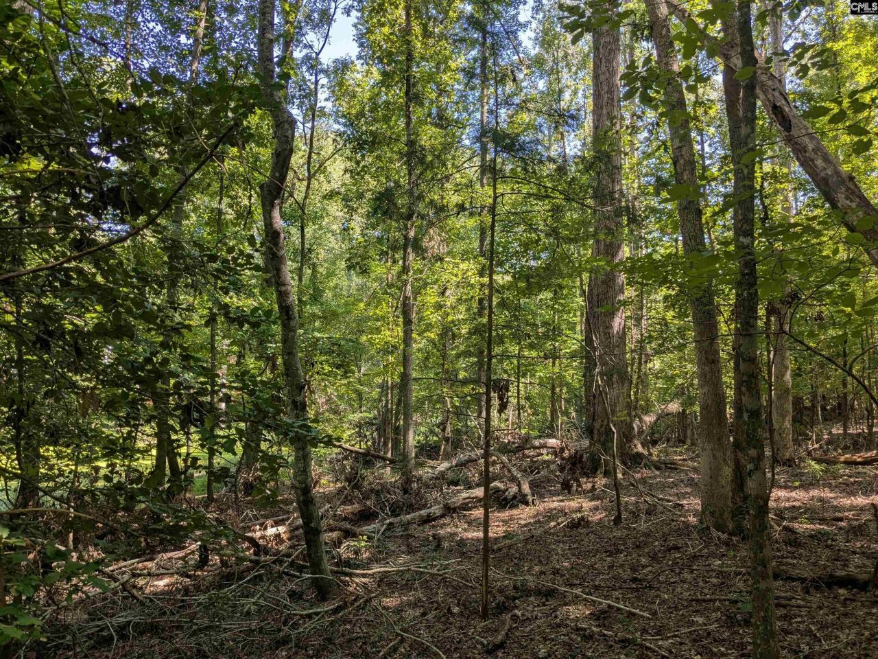 0 Taylor Road Photo 5