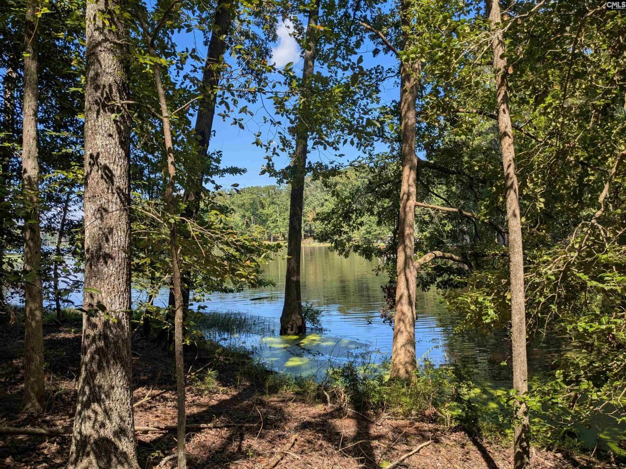 0 Taylor Road Photo 6