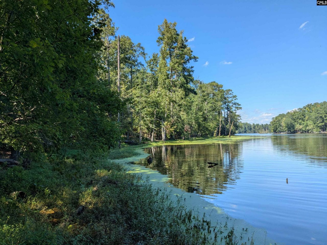 0 Taylor Road Photo 9