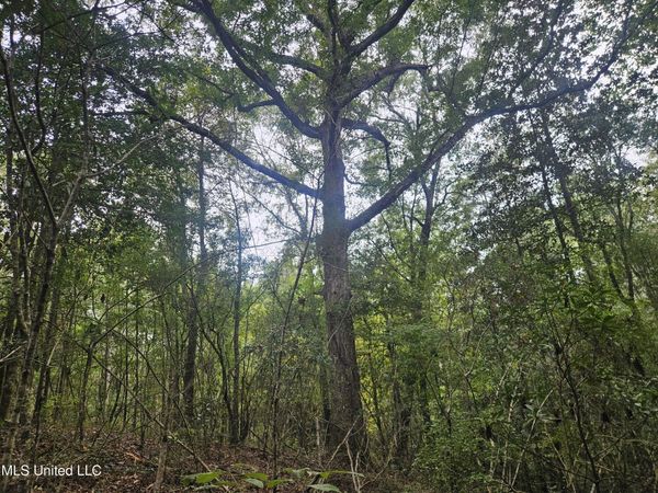 Simpson Highway, Mount Olive, MS 39119