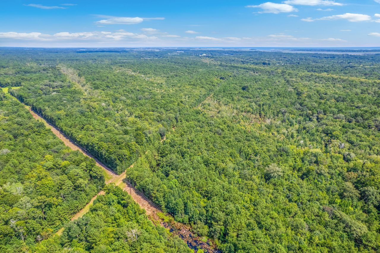 2 Shadow Pond Road Photo 15