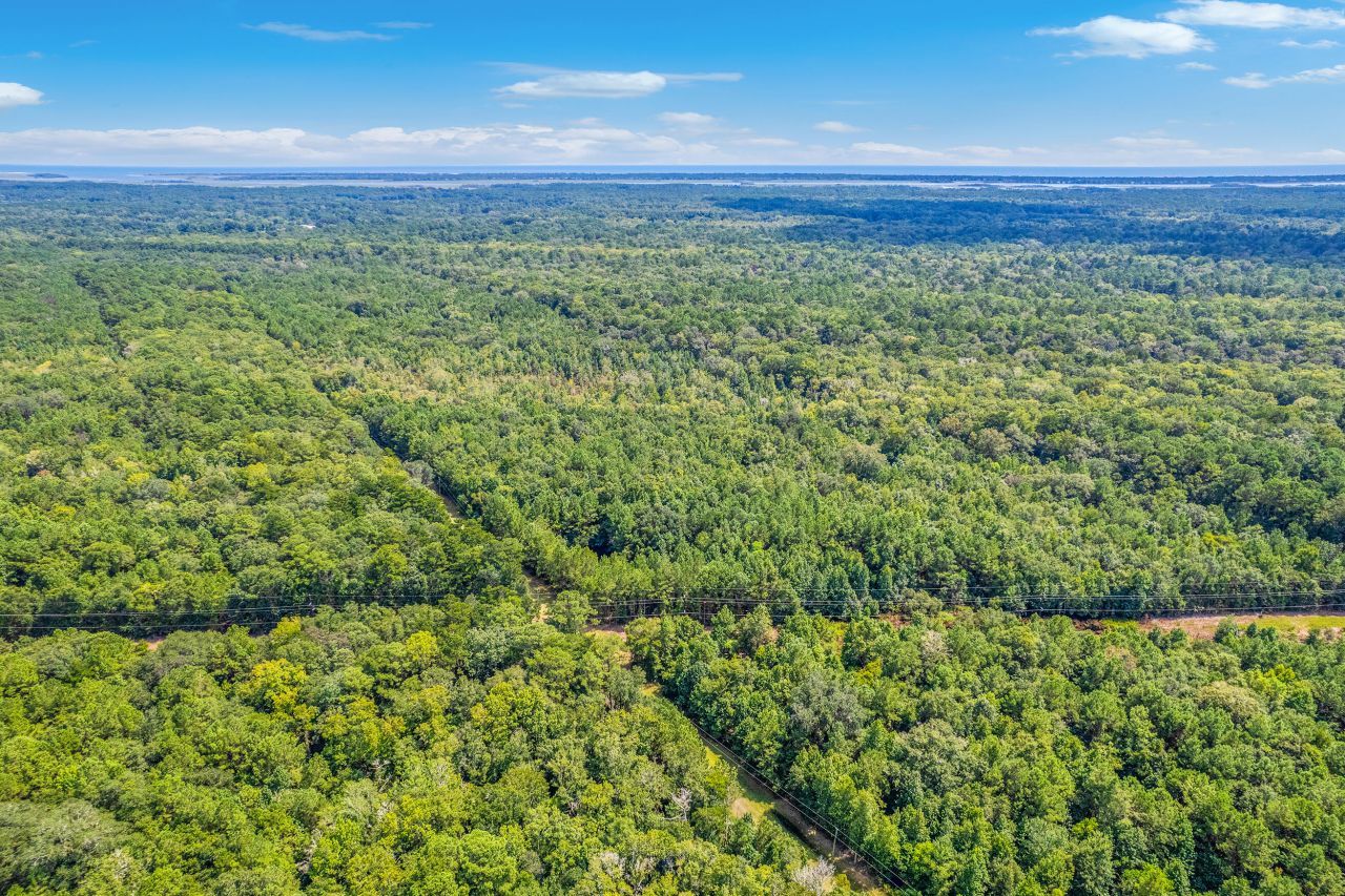 2 Shadow Pond Road Photo 16