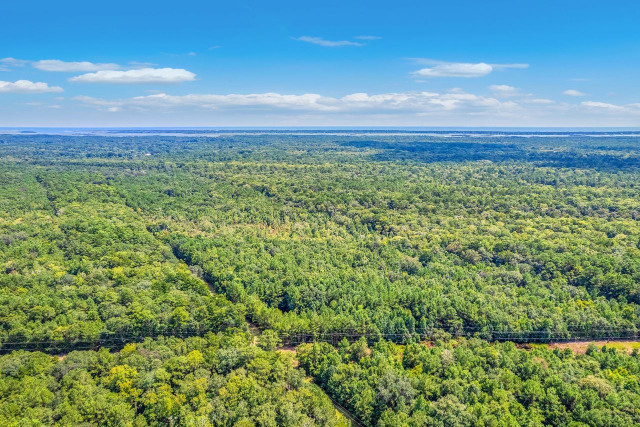 2 Shadow Pond Road Photo 17