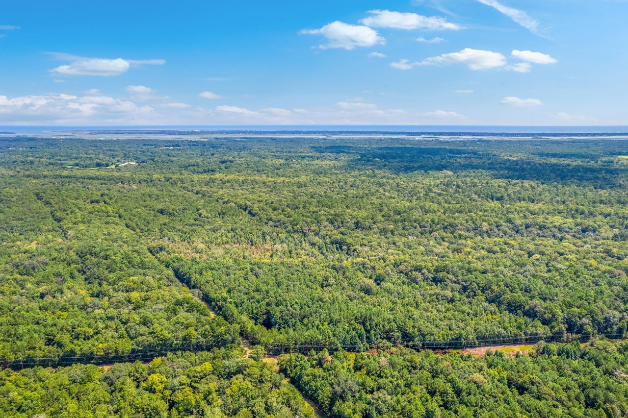 2 Shadow Pond Road Photo 19