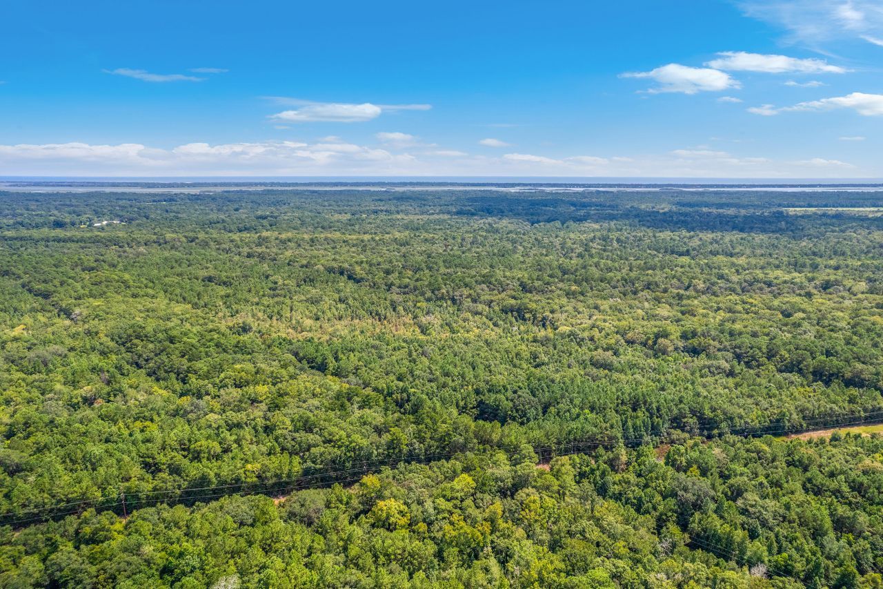 2 Shadow Pond Road Photo 20