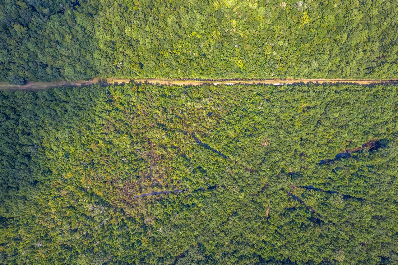 2 Shadow Pond Road Photo 21