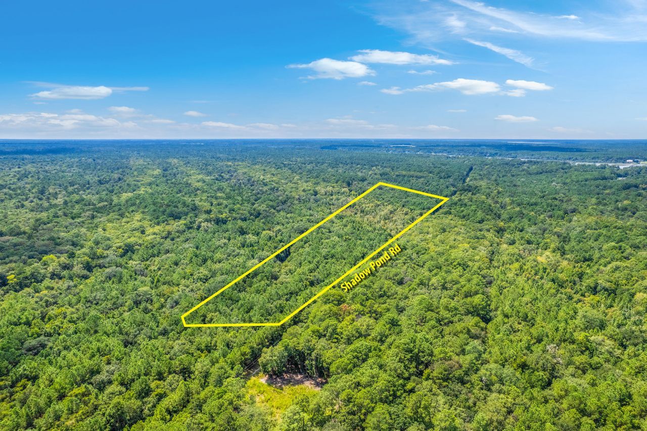 2 Shadow Pond Road Photo 4