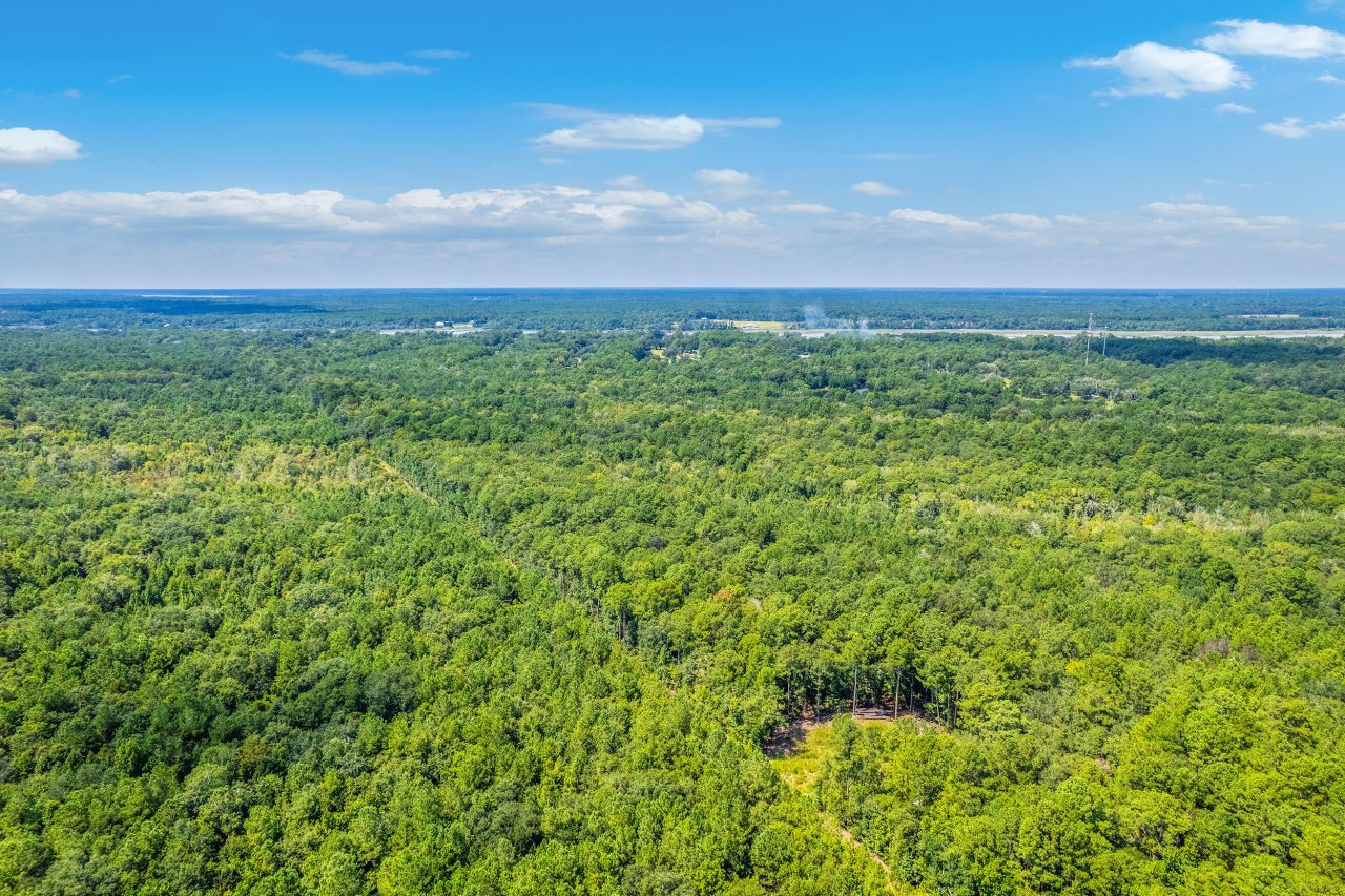 2 Shadow Pond Road Photo 7