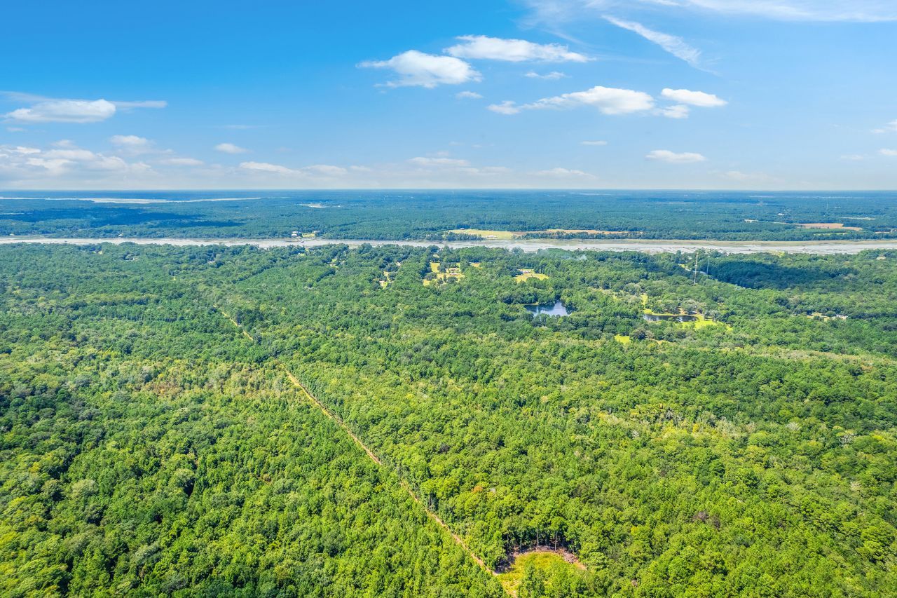 2 Shadow Pond Road Photo 8