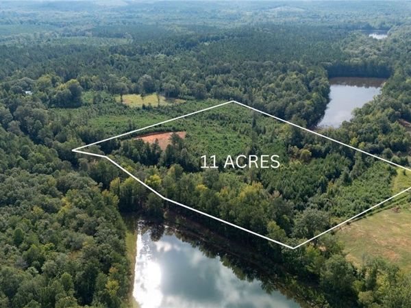 00 COUNTY RD 51, Greensboro, AL 36744