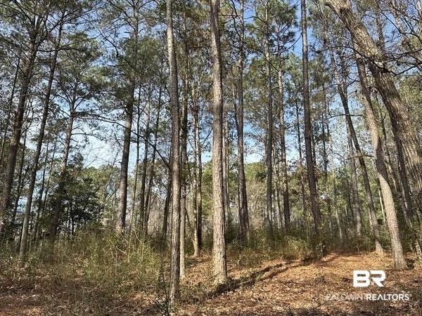 21&22 Flat Creek Drive, Bay Minette, AL 36507