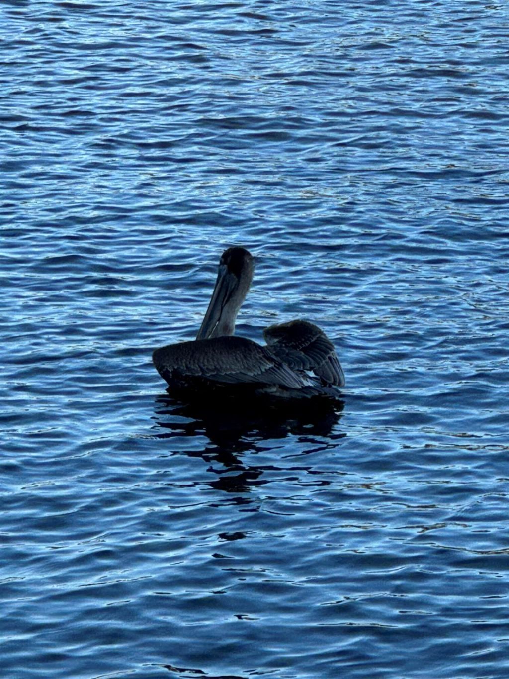 650 Snug Harbor Drive, Unit G310, Boynton Beach, FL 33435 Photo