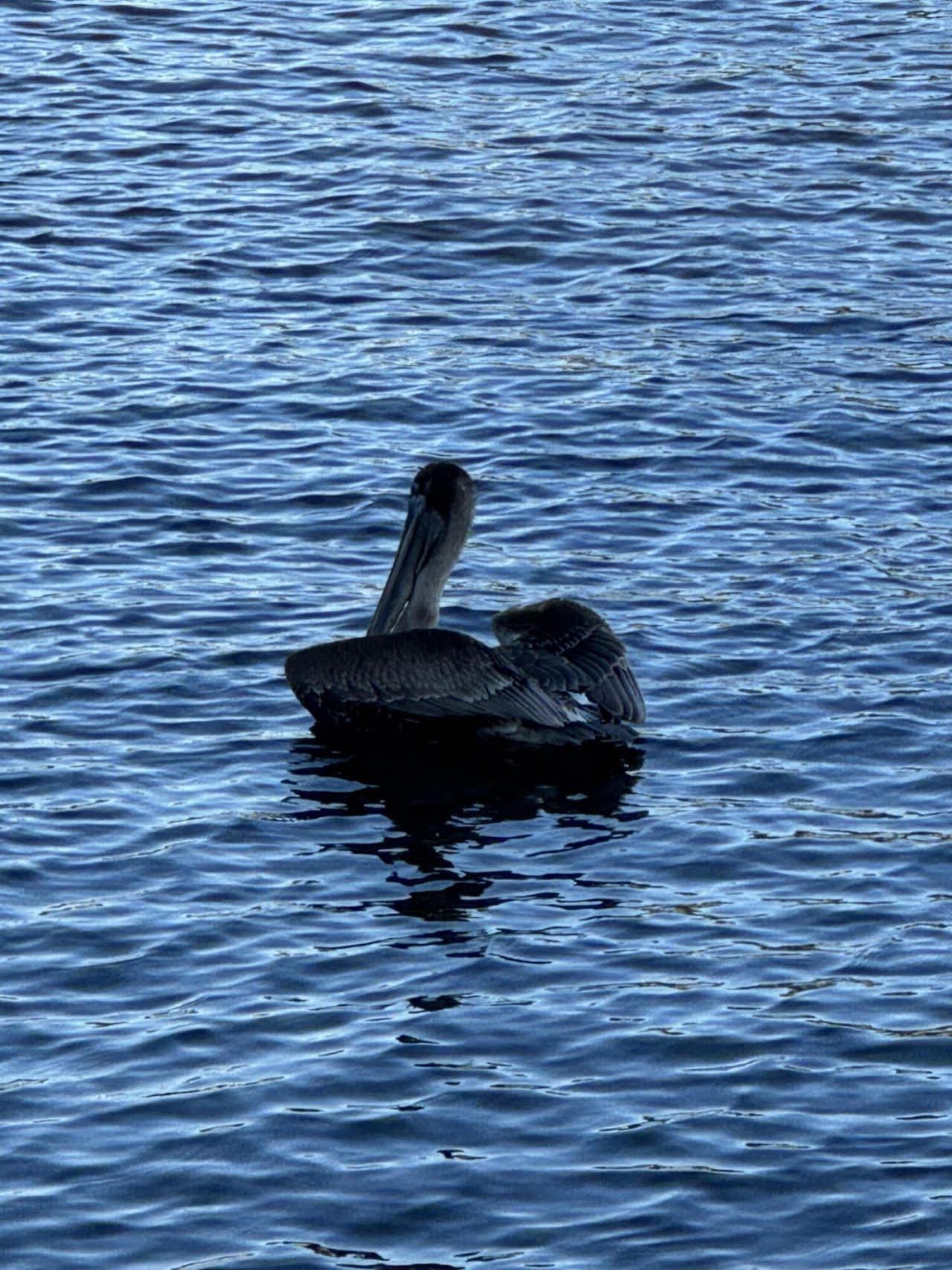 650 Snug Harbor Drive, Unit G310, Boynton Beach, FL 33435 Photo