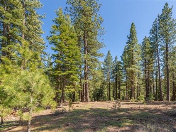 12721 Granite Drive, Truckee, CA 96161