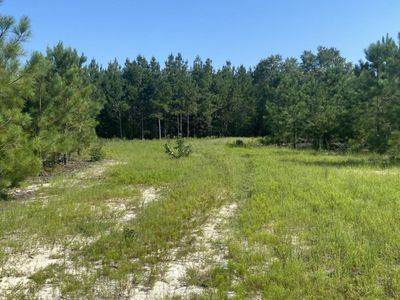 3099 Arcadia Road, Unit 6, Bethune, SC 29009