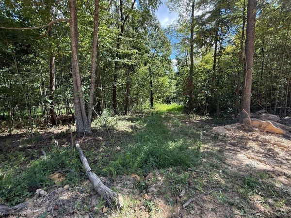 Lot 2 Brooklyn Way, Moatsville, WV 26405