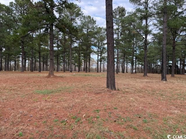 5.87 Acs Rabon Rd. Photo 3