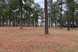 5.87 Acs Rabon Rd. photo 4