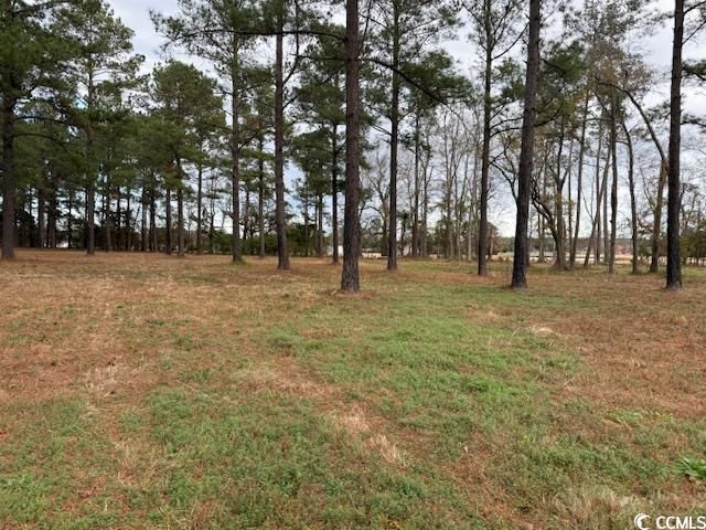 5.87 Acs Rabon Rd. Photo 4