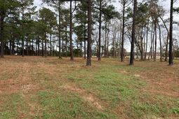 5.87 Acs Rabon Rd. photo 4