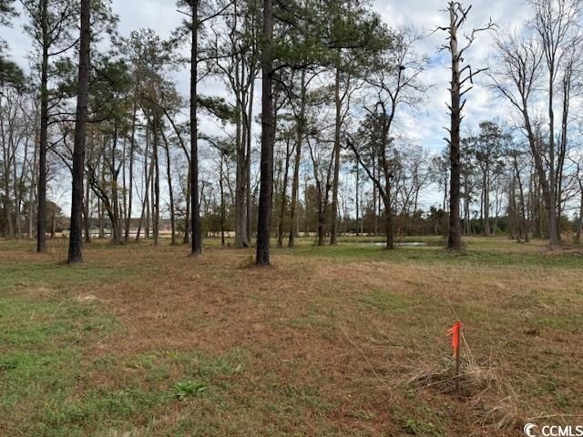 5.87 Acs Rabon Rd. Photo 5