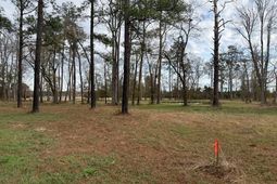 5.87 Acs Rabon Rd. photo 4