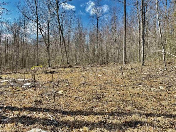 Lot 3 Brooklyn Way, Moatsville, WV 26405