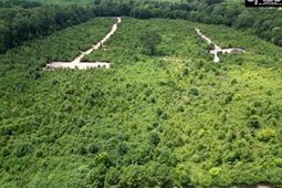 Ridge Spring Highway  photo 4