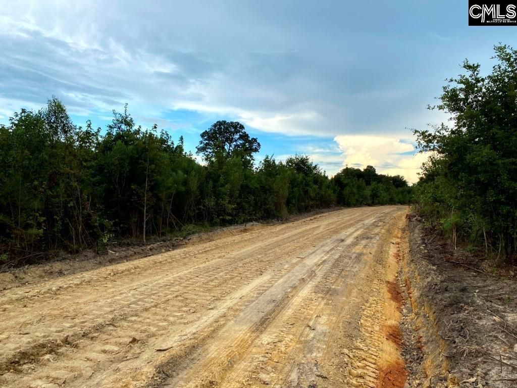 Ridge Spring Highway  Photo 4