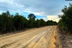 Ridge Spring Highway  photo 4