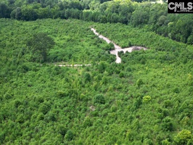 Ridge Spring Highway  Photo 5