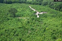 Ridge Spring Highway  photo 4