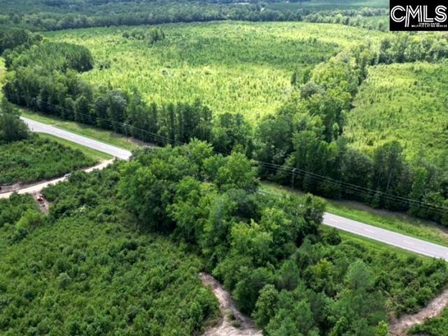 Ridge Spring Highway  Photo 6