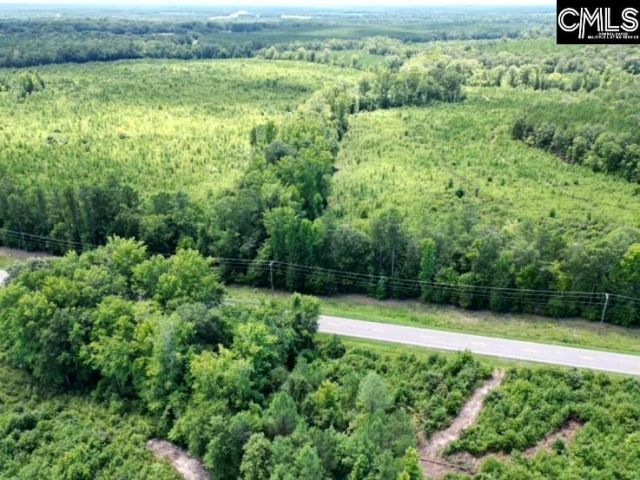 Ridge Spring Highway  Photo 8