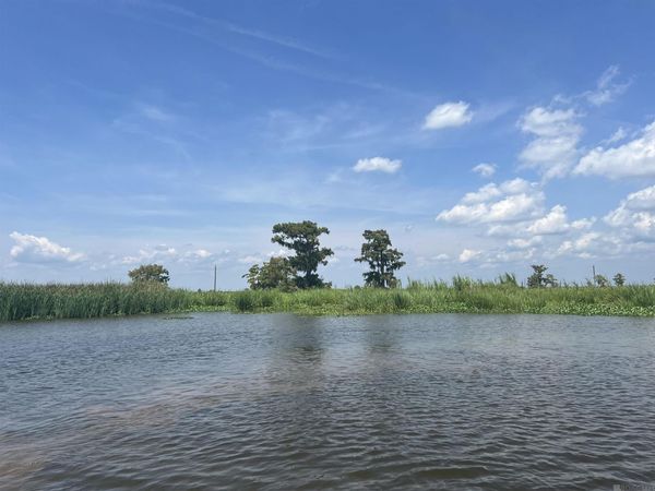 Lot 92 Jones Island, Akers, LA 70421