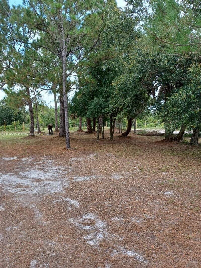 17010 NW 270th St, Okeechobee, FL 34972 Photo