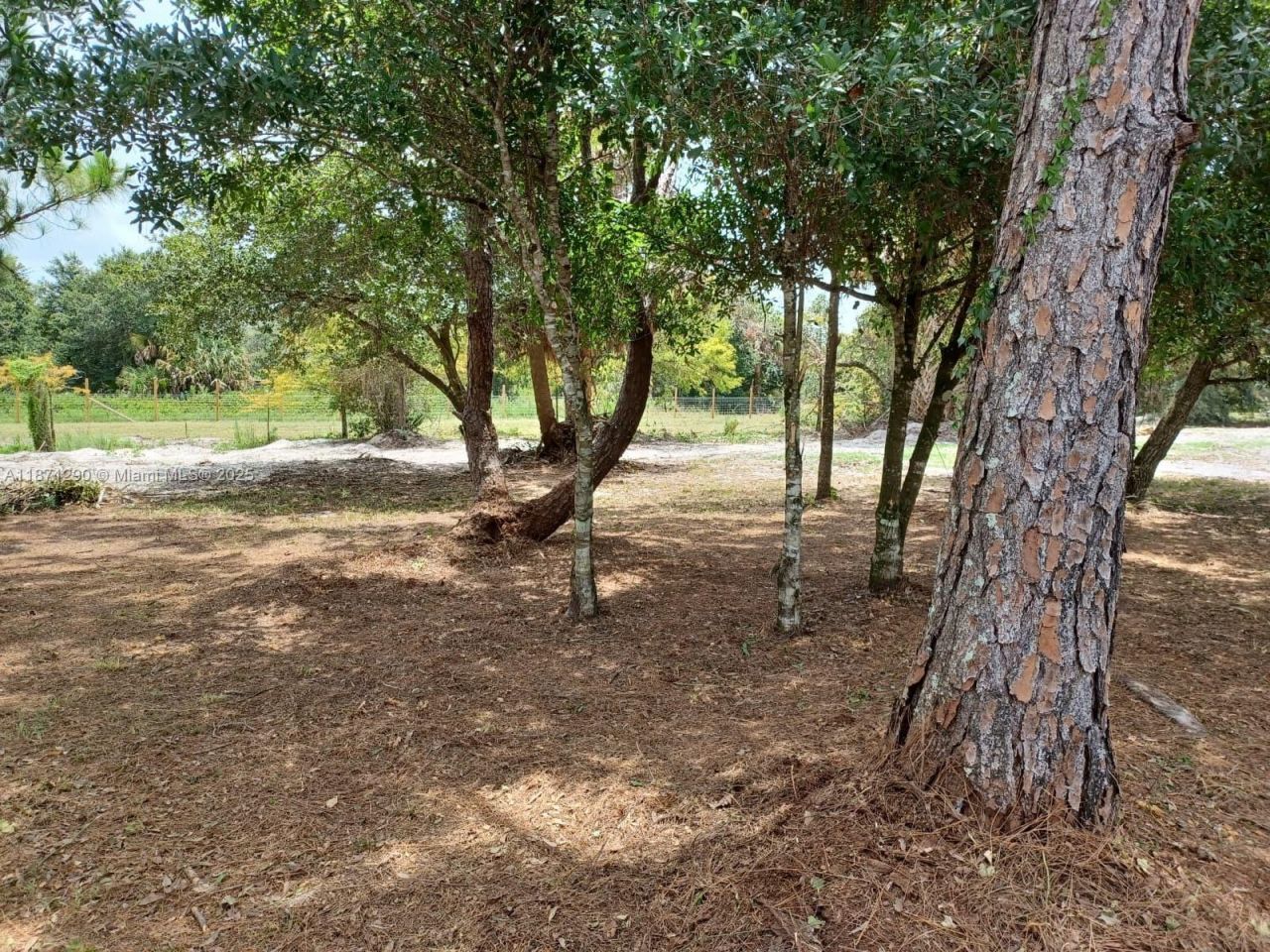 17010 NW 270th St, Okeechobee, FL 34972 Photo