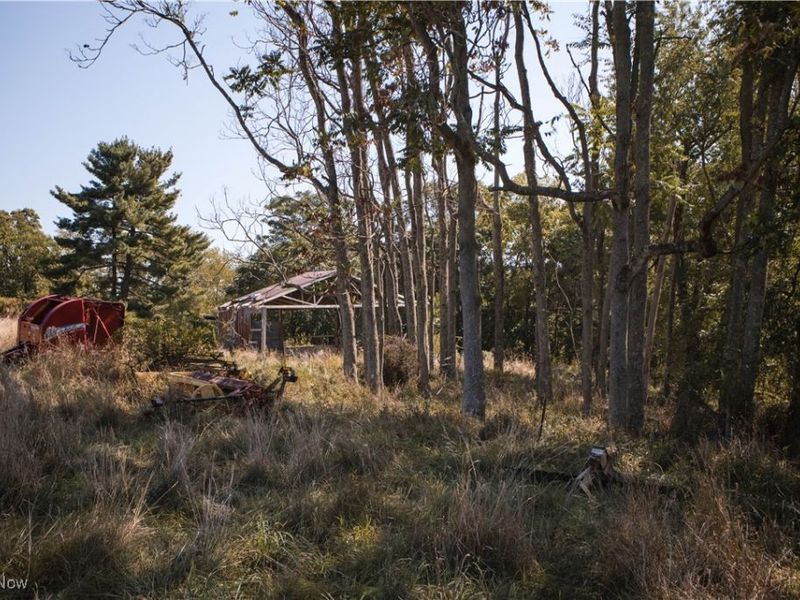 102 Mynster Lane, Richmond, OH 43944 Photo 9