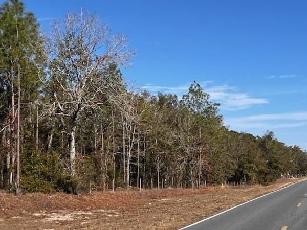 4700 NW NW COUNTY ROAD 340, Bell, FL 32619